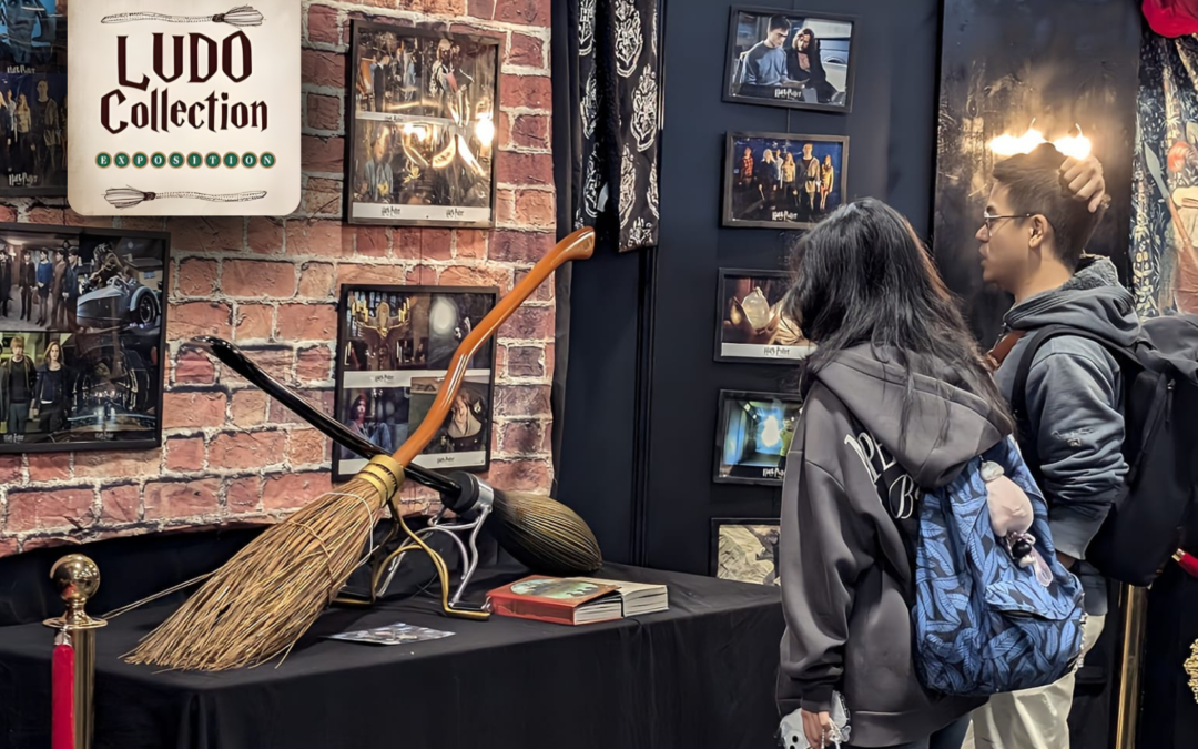 Exposition Harry Potter